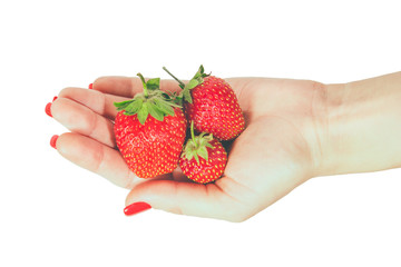 Obraz premium strawberries in hand palm isolated on white background