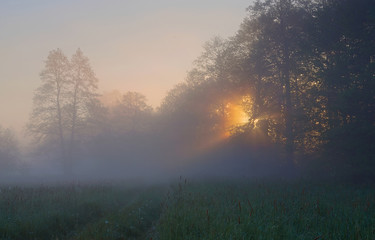 Świt © Tomek Kiecana