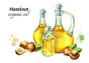Hand-drawn watercolor composition with bottles of Hazelnut oil and nuts