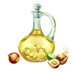 Jug with hazelnut oil. Watercolor hand-drawn illustration