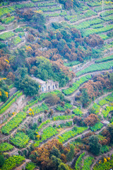 Obraz premium Vineyards on the slopes of the Cinque Terre Reserve, in Italy, Europe