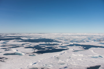 Arctic seascape