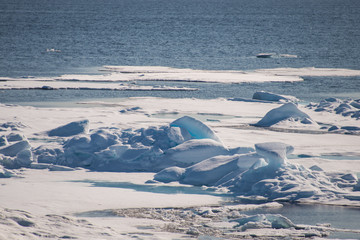 Obraz premium Arctic seascape