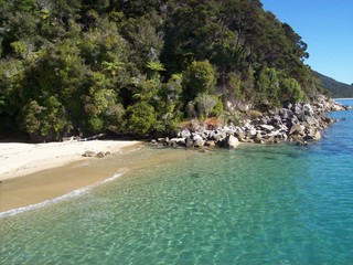 cyan water at a tropical bay
