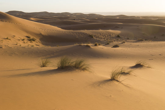 Erchebbi desert in to morocco
