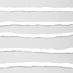 Torn paper. Vector.