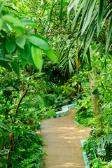 botanical garden with tropical plants