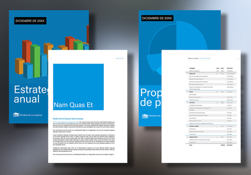 Diseño de propuesta e informe de empresa