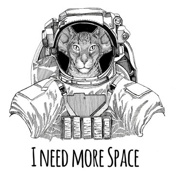 Oriental cat with big ears wearing space suit Wild animal astronaut Spaceman Galaxy exploration Hand drawn illustration for t-shirt