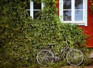 Fototapeta na wymiar Bicycle with green and house in background