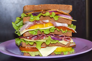 Tall sandwich with beef cheese pork tomato black background