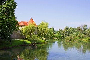 Obraz premium Castle Otocec, Slovenia