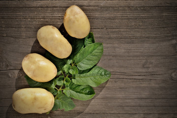 Raw potato food.Fresh potatoes on wooden background.