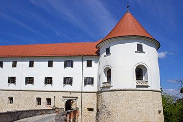 Fototapeta na wymiar Castle Mokrice, Slvenia