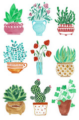 Set of different plants in pots. Flowers in a vase. Watercolor hand drawn illustration.