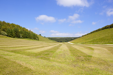 yorkshire wolds farmland