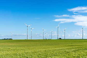 windmill at a sunny day