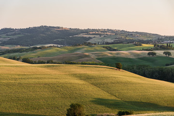 Fototapeta na wymiar Extraordinary panorama of the Siena countryside, in the valley of the valley