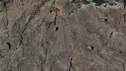 Rock Slate Texture 03