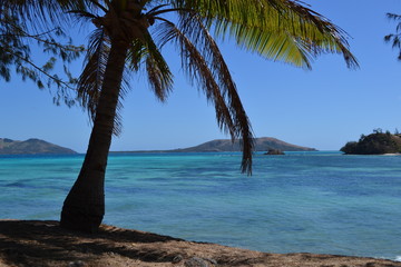 ocean view on the fijis with palm