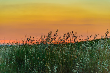 Tramonto in val d'orcia toscana