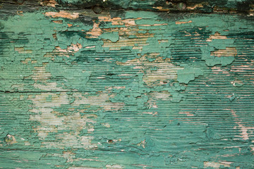 vintage wooden door with aged green paint