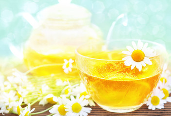 Cup of chamomile tea in bright summer sun light on pot of herbal tea and flowers background,...
