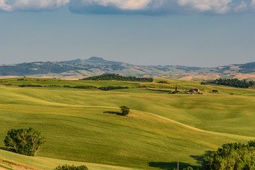 Rural landscape of valleys in summer in the province of siena in tuscany italy