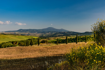 Obraz premium Rural landscape of valleys in summer in the province of siena in tuscany italy