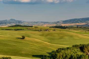 Fototapeta na wymiar Rural landscape of valleys in summer in the province of siena in tuscany italy