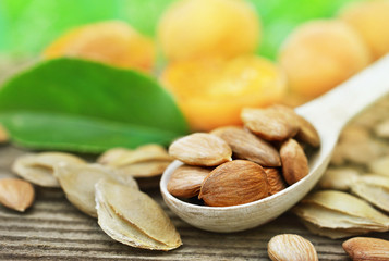 Apricot kernels in wooden spoon on pits, stones and fresh apricots background