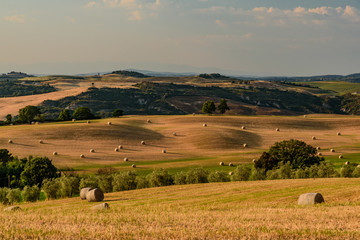 Obraz premium Idyllic panorama of the valley of the orcia in tuscan province of siena in summer with cultivated fields