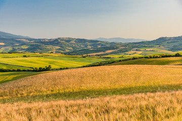 Fototapeta premium Idyllic panorama of the valley of the orcia in tuscan province of siena in summer with cultivated fields
