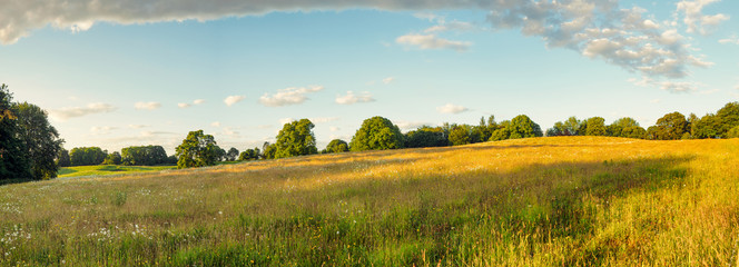 panorama view of summer countryside morning,Northern Ireland