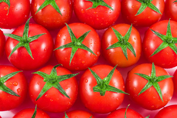tomatoes