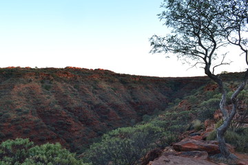 landscape at kings canynon