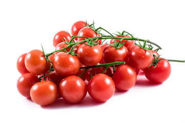 tomatoes