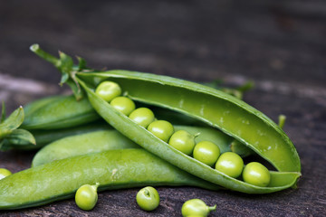 Young organic green pea, close up.