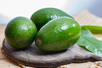 Green ripe avocado from organic avocado plantation - healthy food