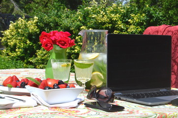 Working from home in a summer garden