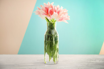 Glass vase with beautiful tulips on color background