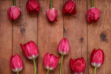 brown wooden background with red tulips