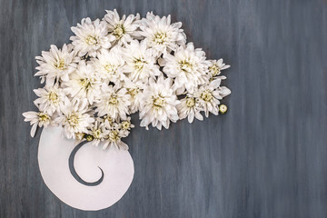 white chrysanthemum on dark blue wooden background