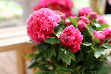 Beautiful pink peony bunch