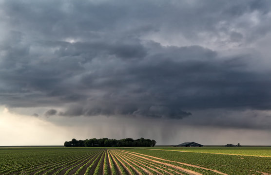 raining cloud over field in farmland