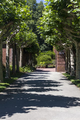 Fototapeta na wymiar Gravel Garden Pathway