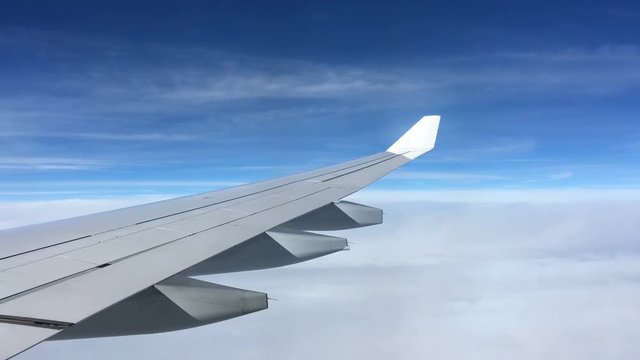 Airplane Wings with blue sky