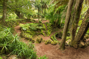 Naklejka premium Antonio Borges Botanical Garden in Ponta Delgada