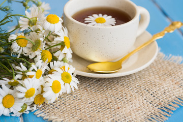 cup of herbal chamomile tea with camomile dry blossoms, dried camomile flowers. doctor treatment and prevention of immune concept, medicine - folk, alternative, complementary, traditional medicine