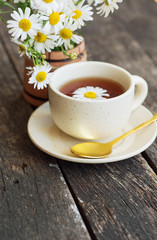 cup of herbal chamomile tea with camomile dry blossoms, dried camomile flowers. doctor treatment and prevention of immune concept, medicine - folk, alternative, complementary, traditional medicine